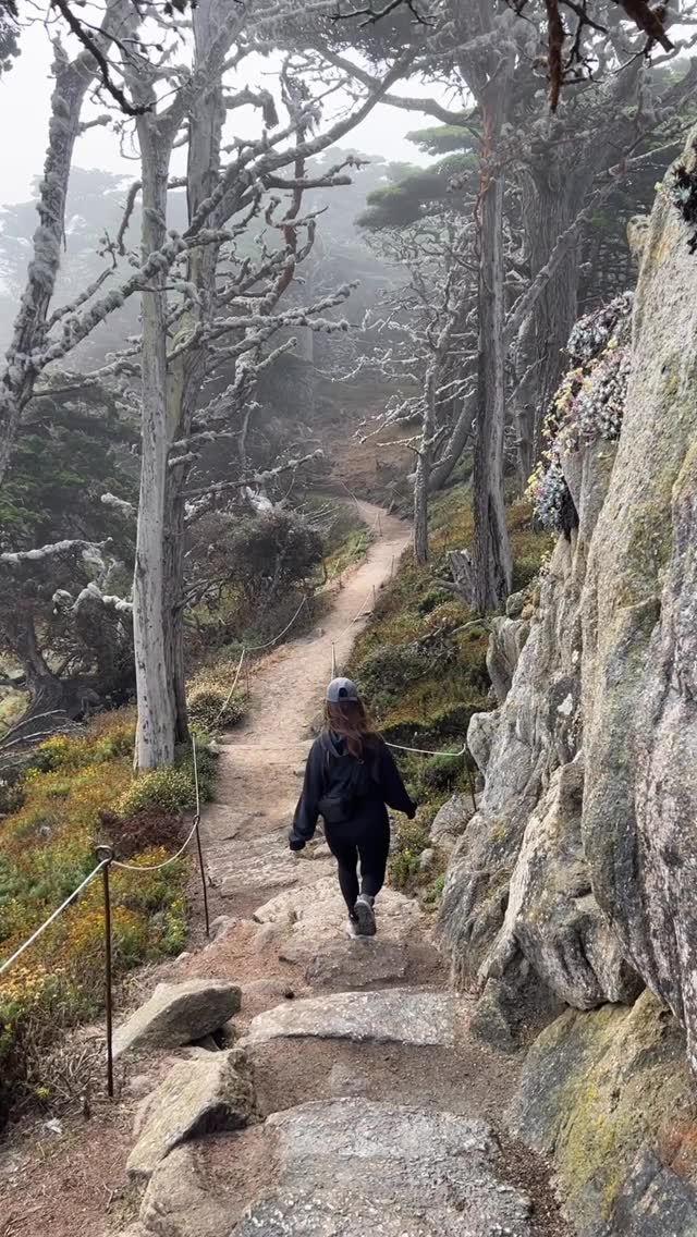 Point Lobos Trails Feature Coves and Wildlife