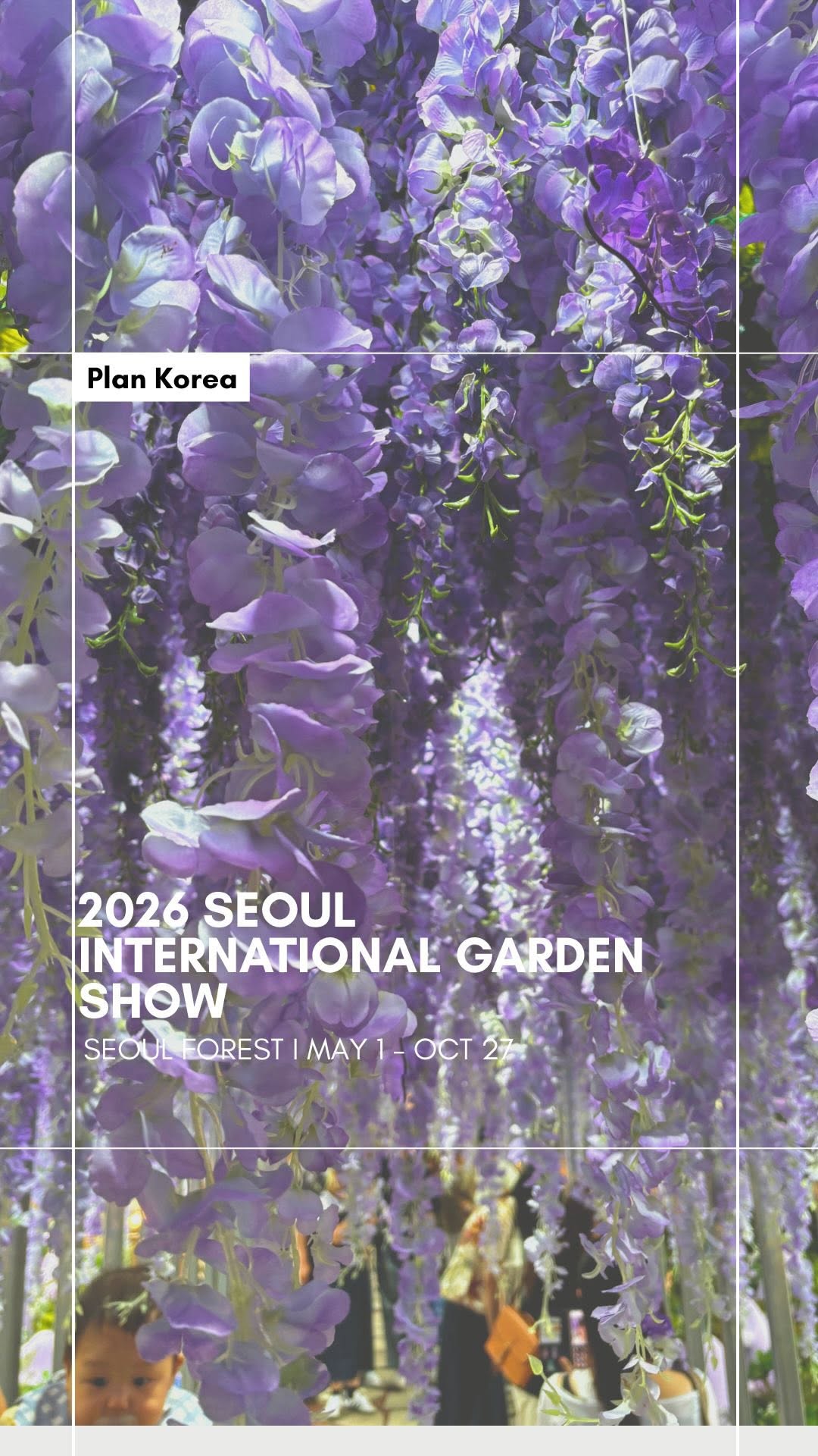 Seoul Forest Park Hosts Major Garden Show