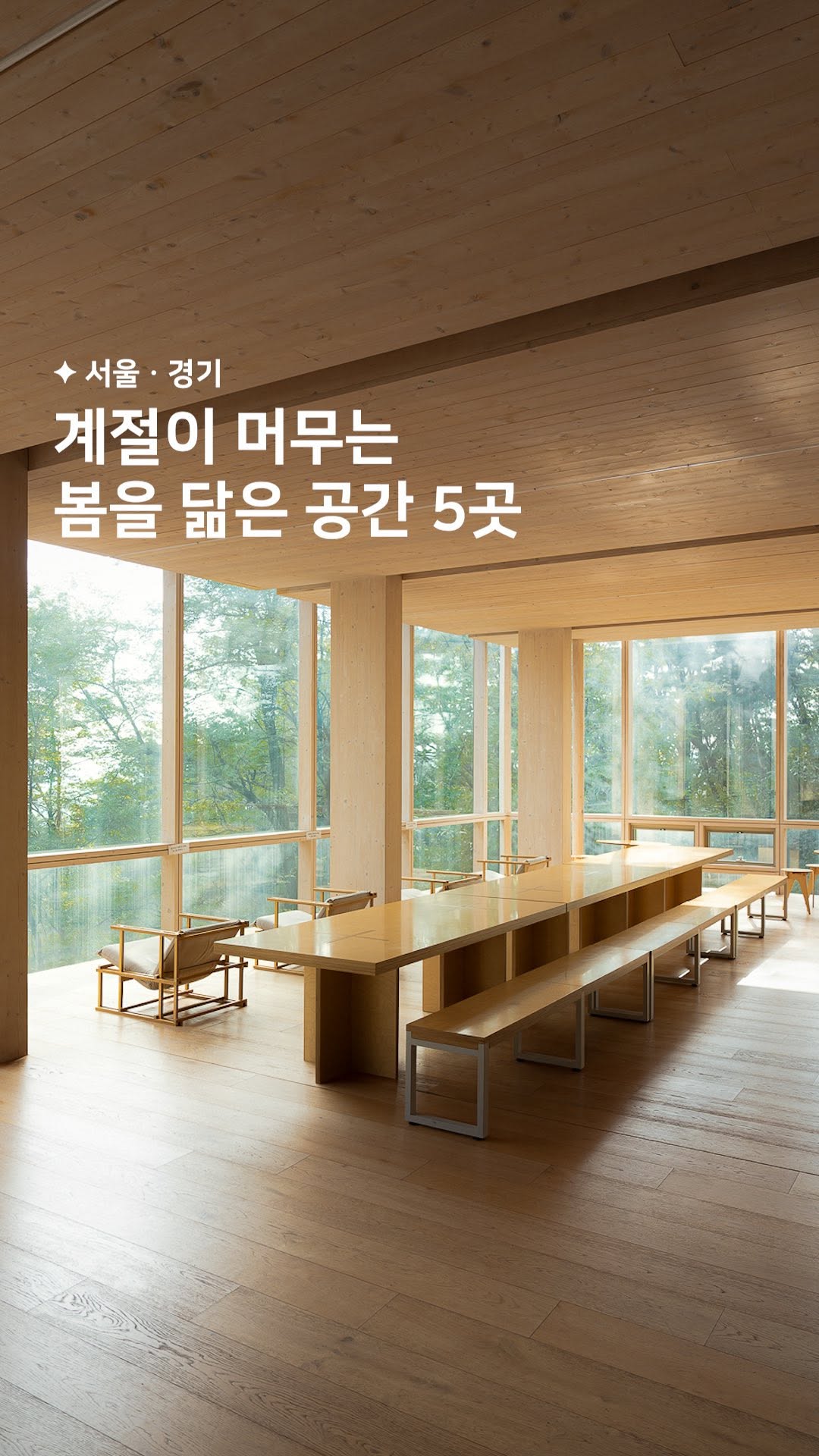 5 Cafes in Seoul