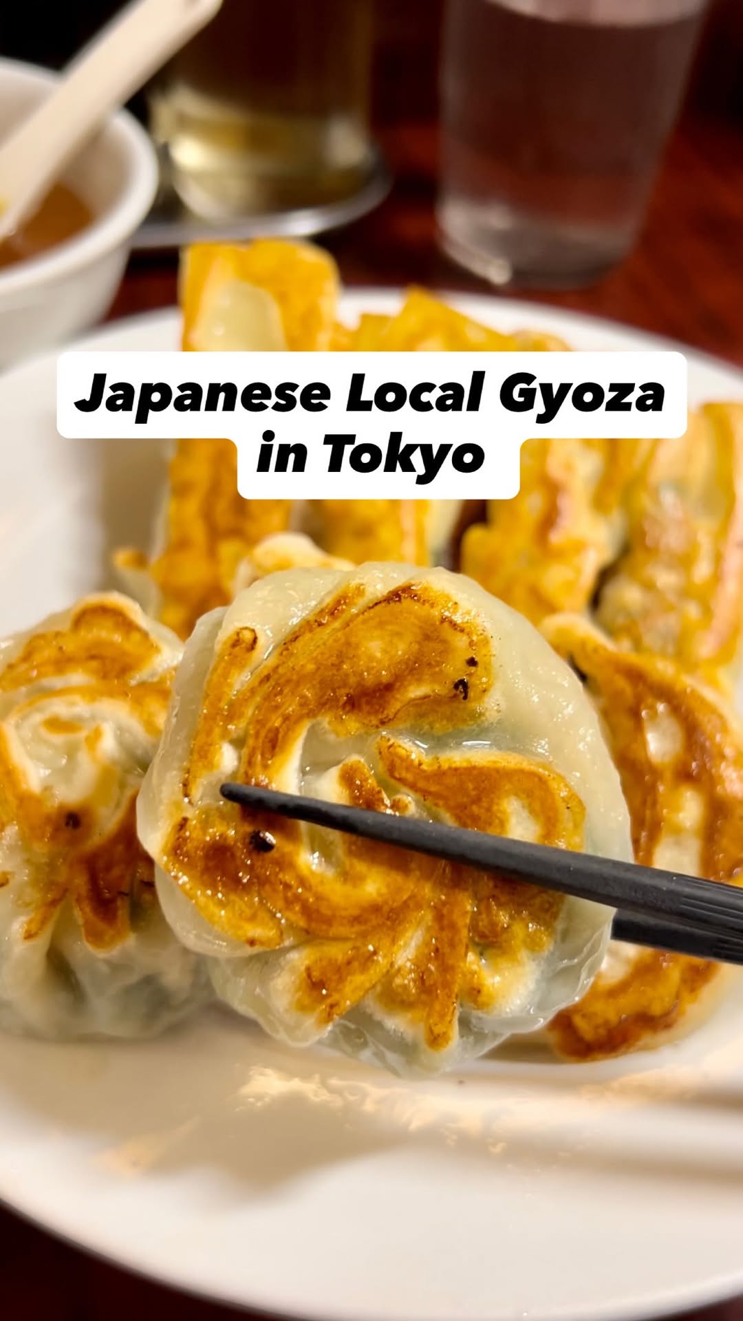 Handmade Gyoza Near Suidobashi Station