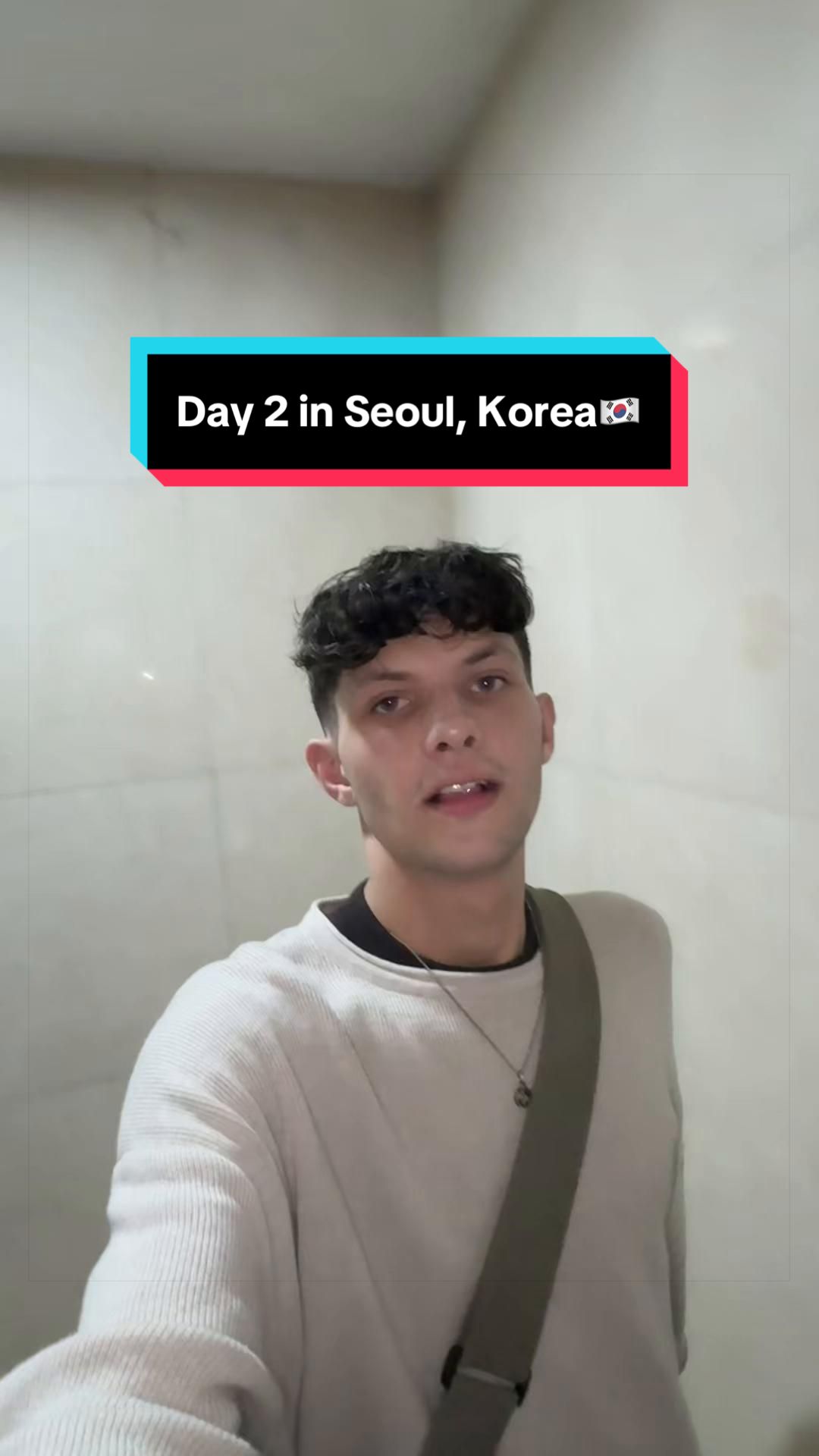 Seoul Exploration: Myeongdong, Temples, and Markets