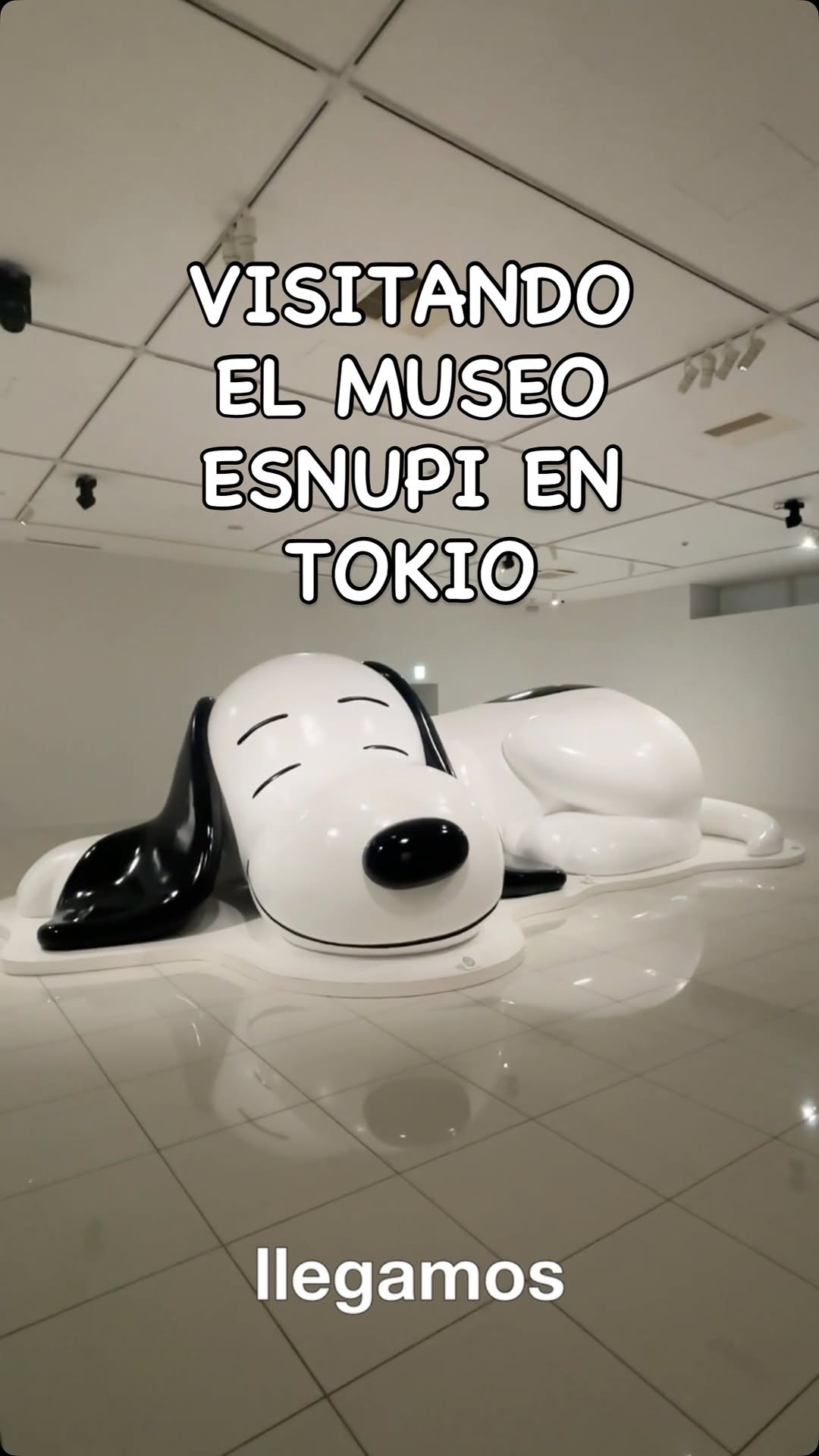 2 Museums in Machida