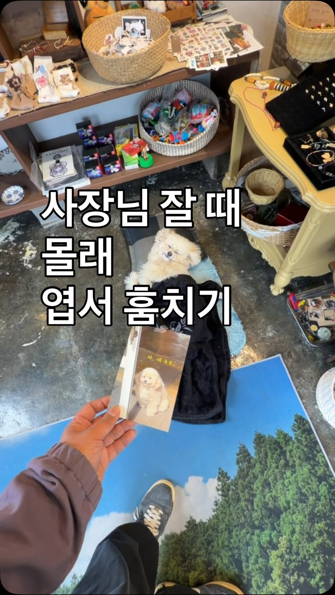1 Entertainment spots in Cheju