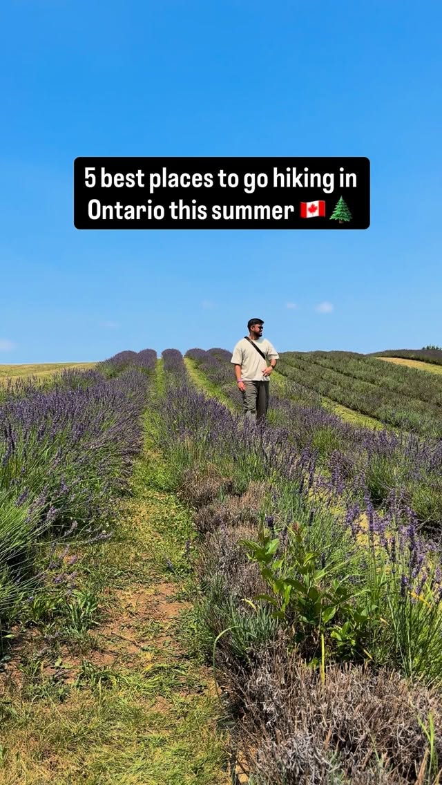 9 Attractions in Ontario