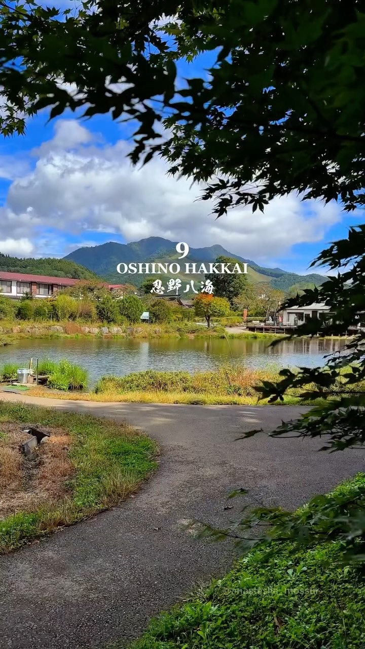 Japan's Nature, Temples, and Hidden Gems