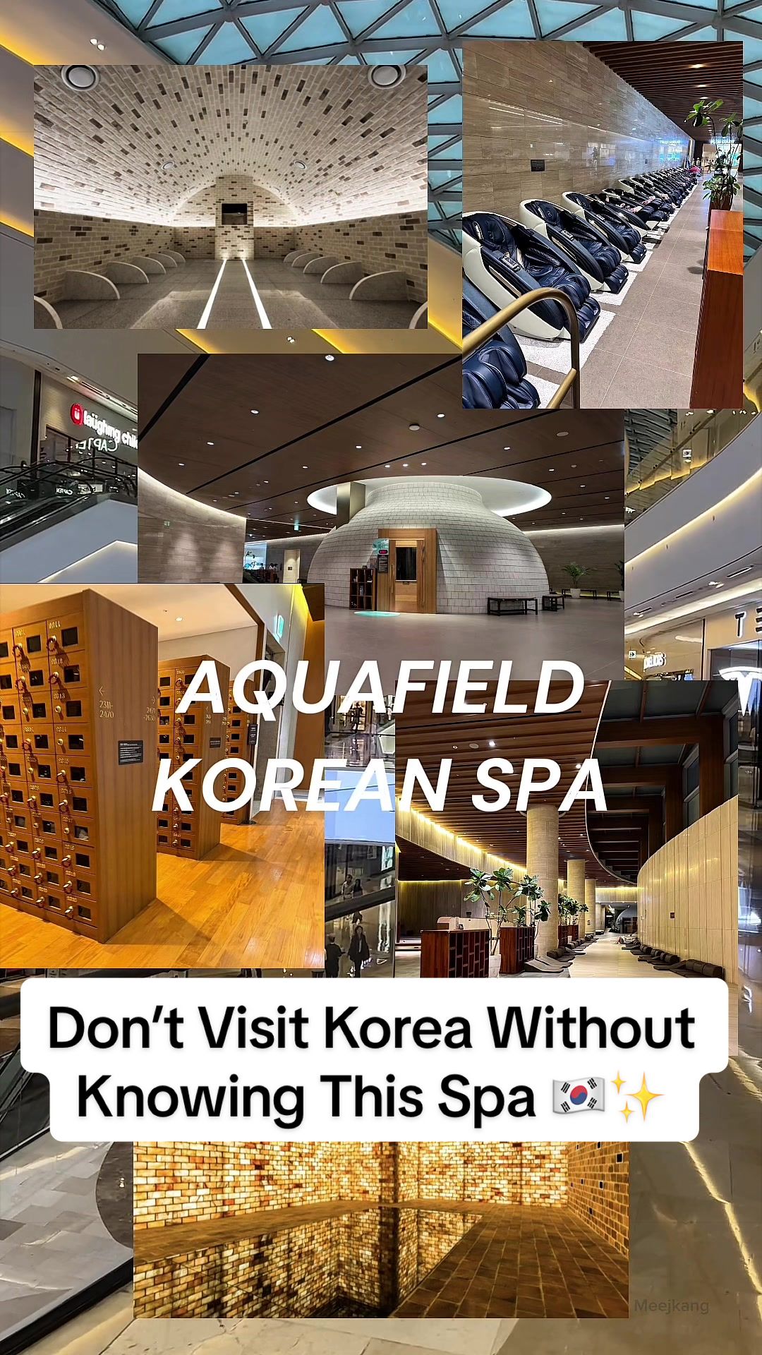 Goyang's AQUAFIELD and Starfield Complexes