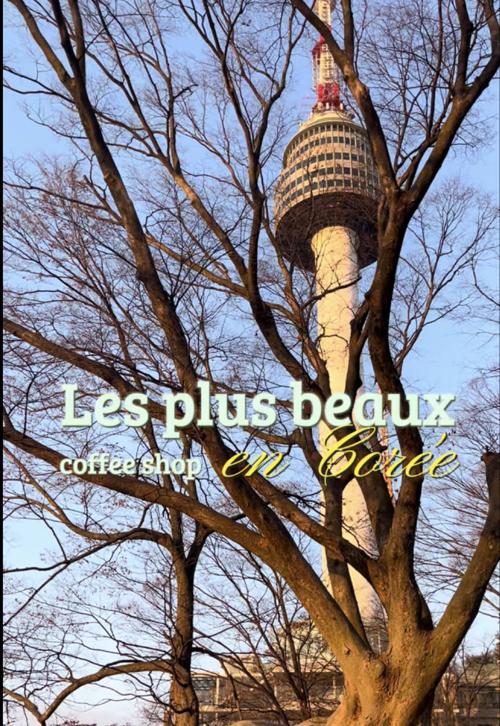 Korean Coffee Shops in Seoul, Busan, and Gyeongju