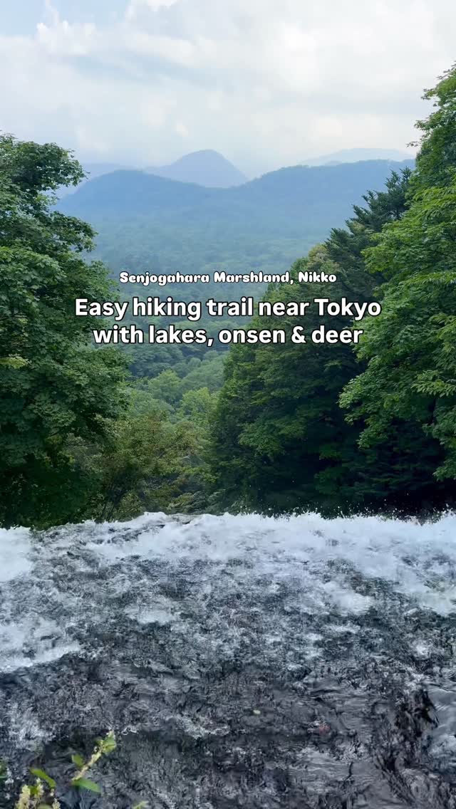 Oku-Nikko's Highland Marshland Hiking Trail