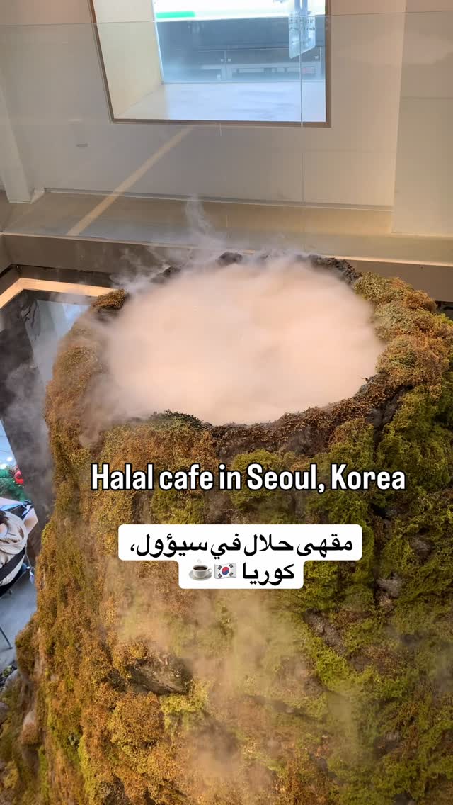 Halal Vegan Cafe In Seoul With Scenic Rooftop