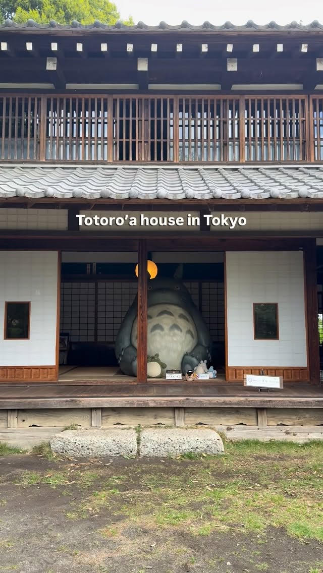 Totoro's Forest Foundation Preserves Miyazaki's Inspiration