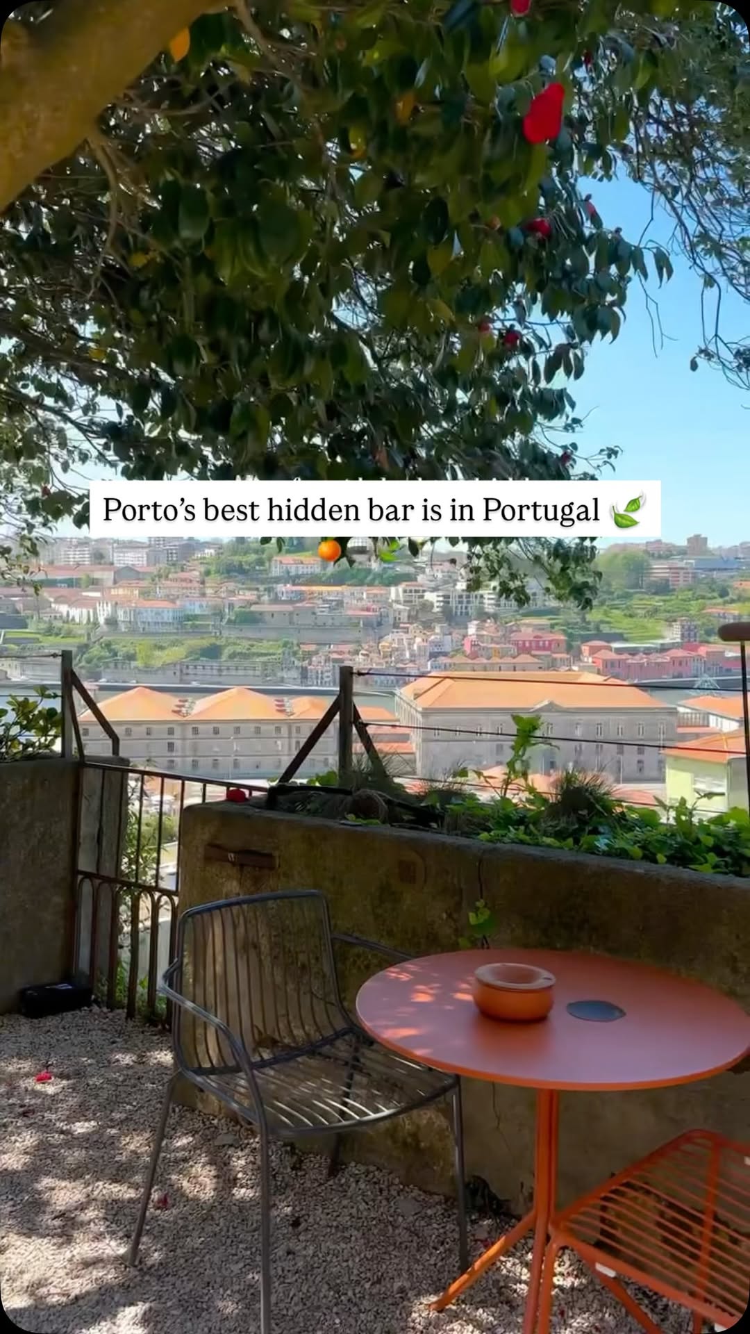Porto's Stylish Hidden Gem for Drinks and Dining