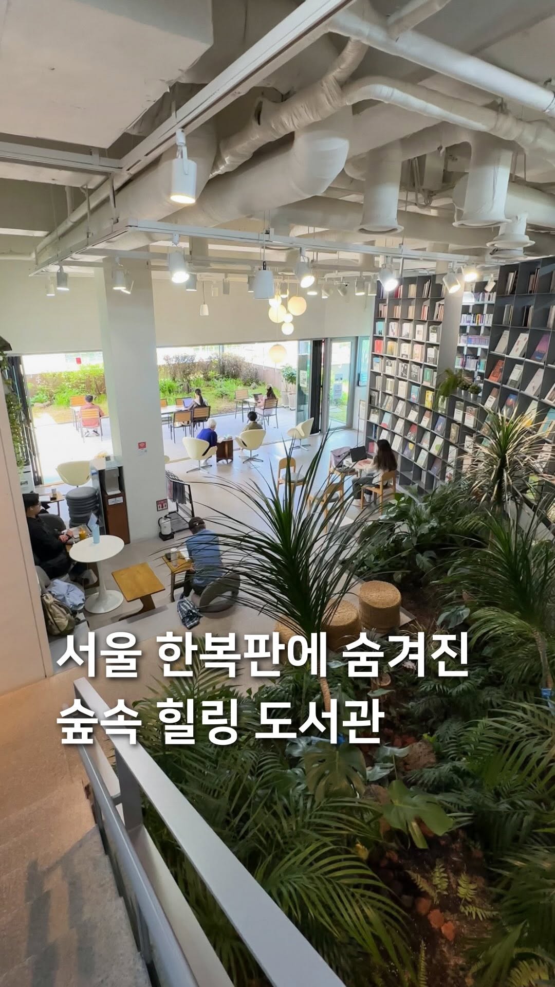 Seoul's Fortress Trail Library Offers City Views
