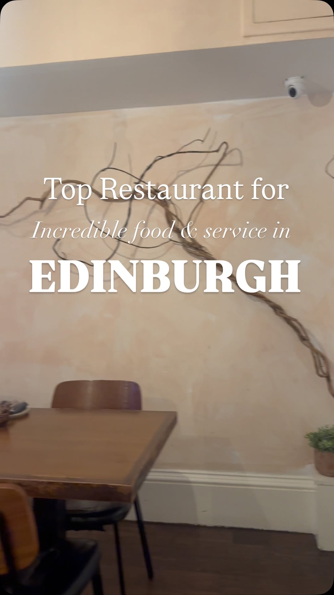 Noto: A Delicious Dining Experience