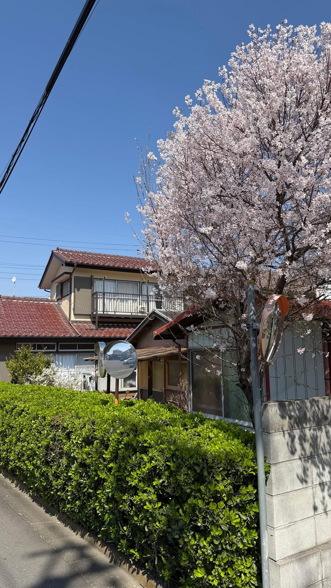 Shopping Destinations in Japan Offer Great Value