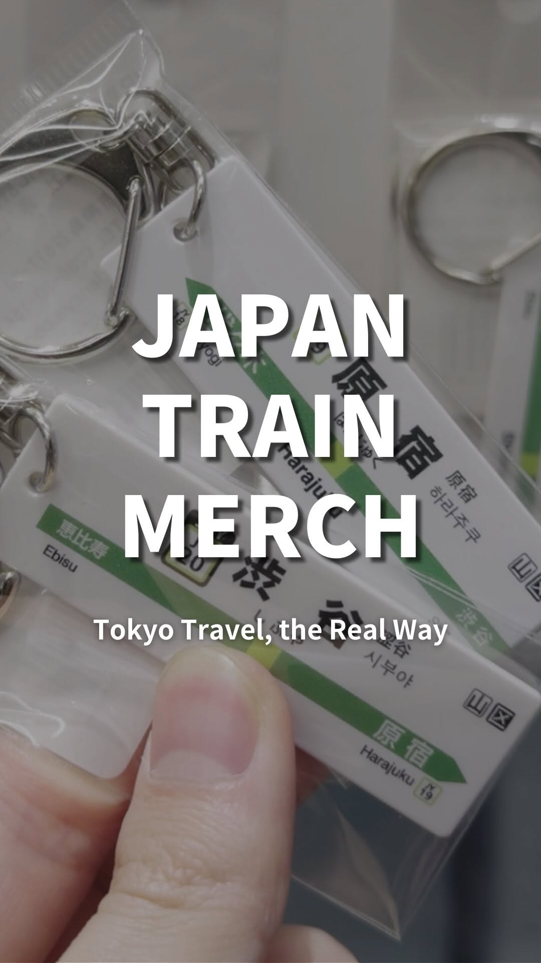 Train-Themed Merchandise Shop Near Akihabara Station