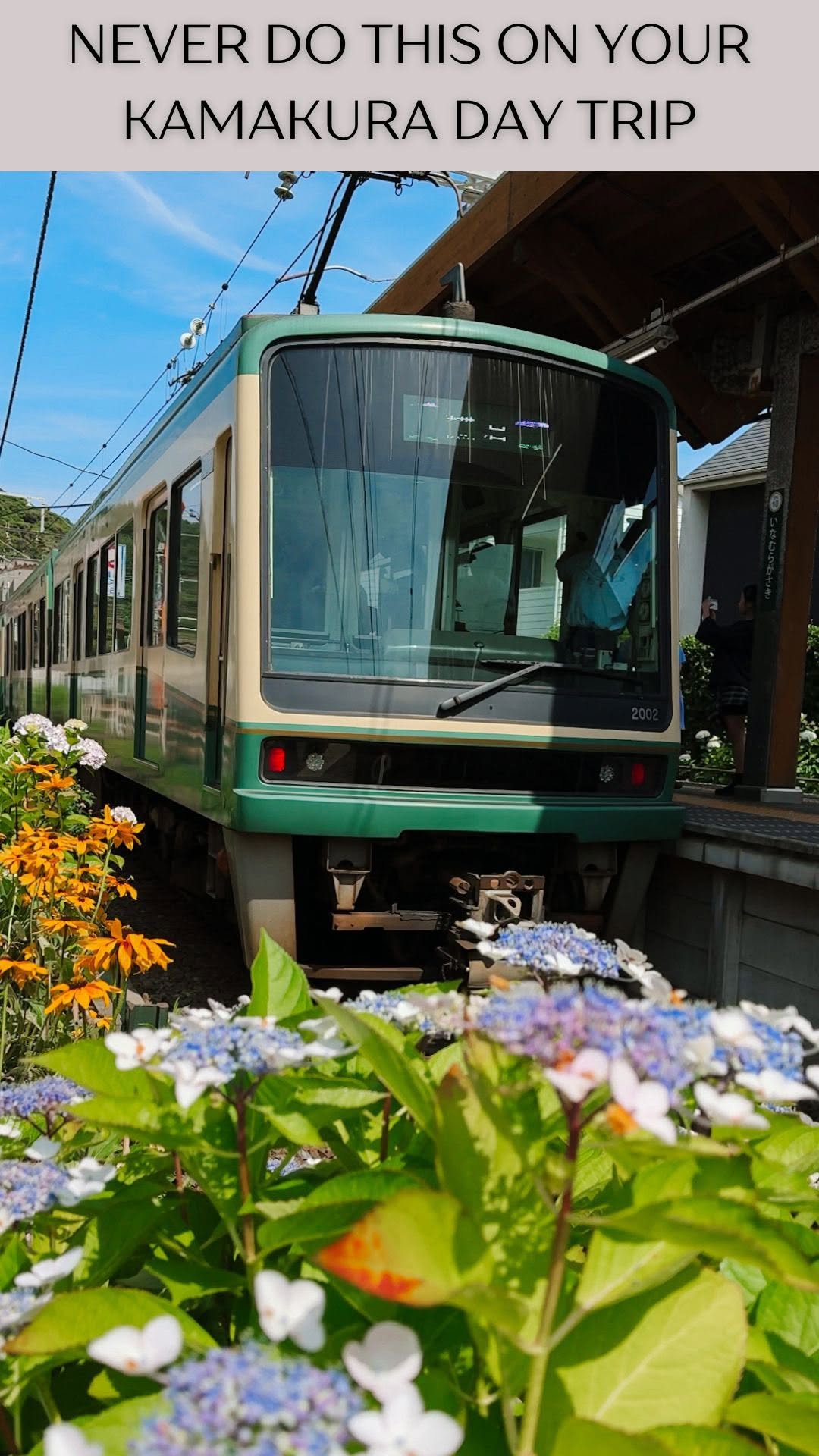 Kamakura Day Trip: Great Buddha, Bamboo, and Coastal Views