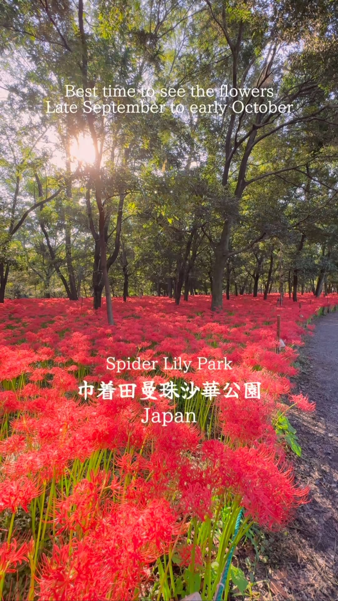 Kinchakuda Park: A Demon Slayer Filming Location