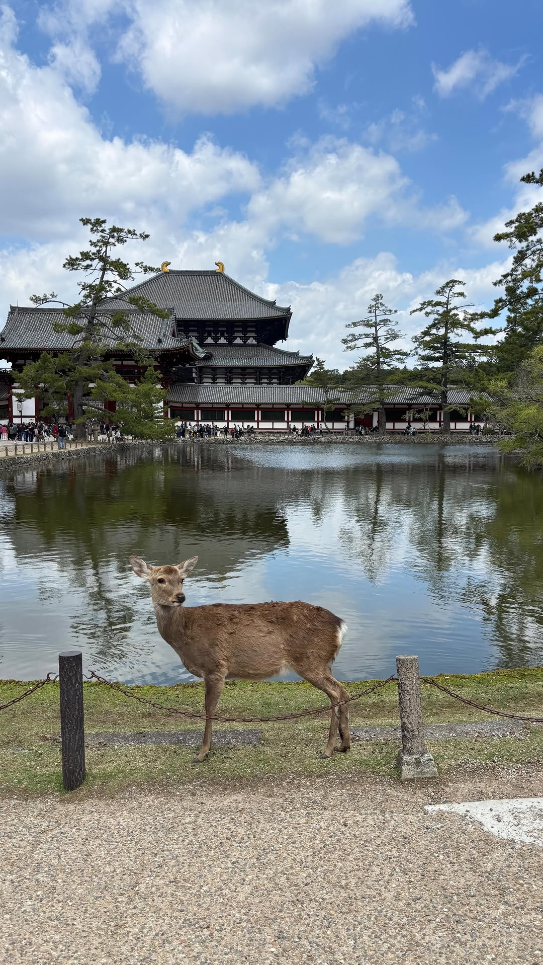 Rural Japanese Village Charm