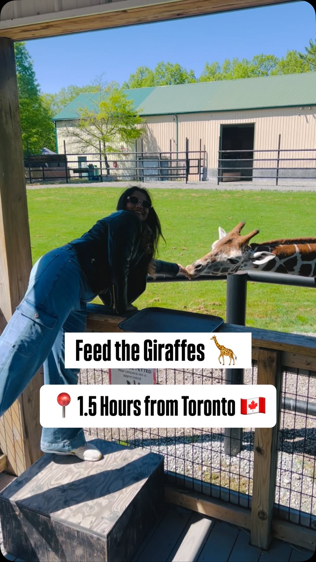 1 Attractions in Fort Erie