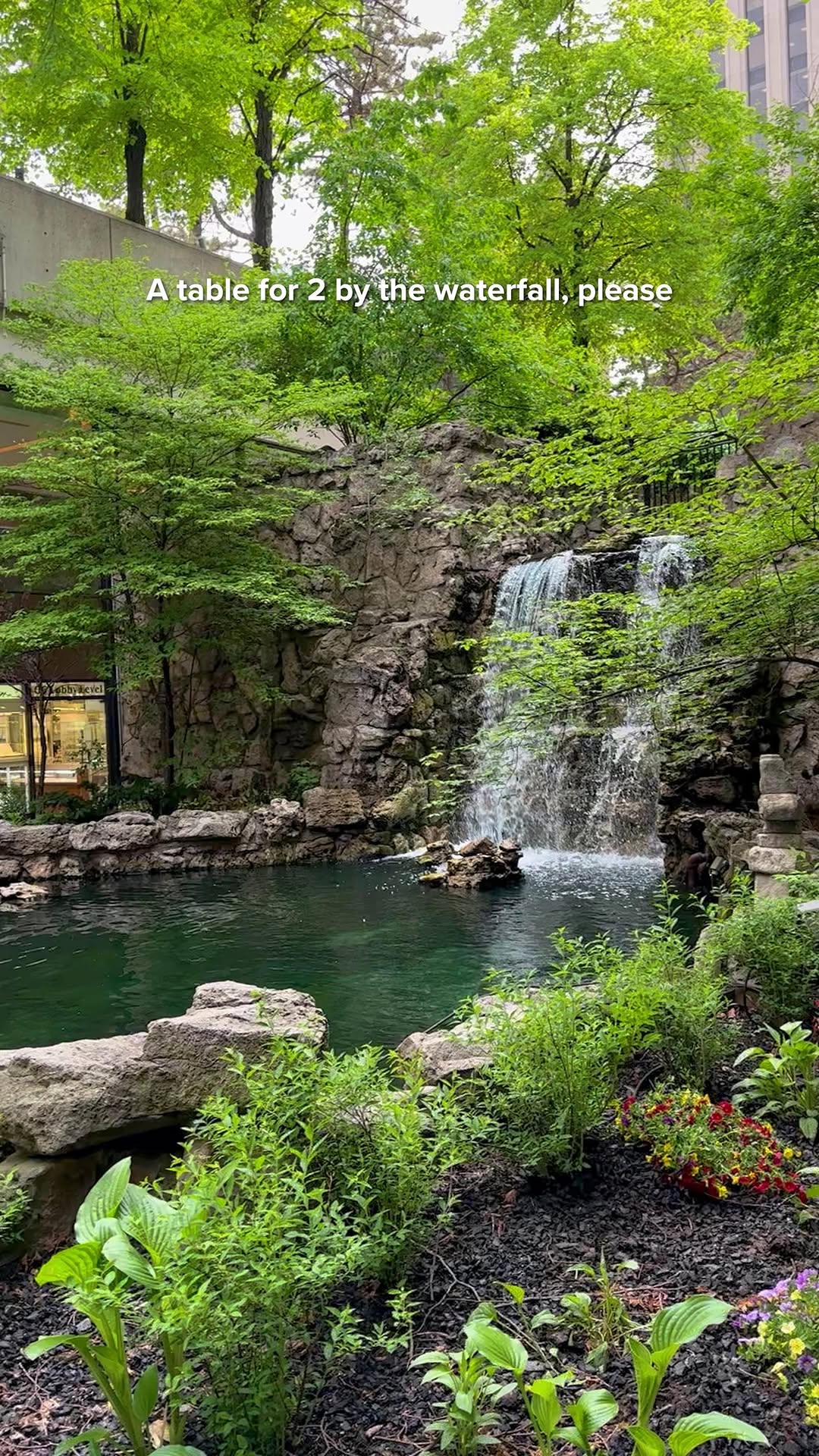 City Sanctuaries For Dining