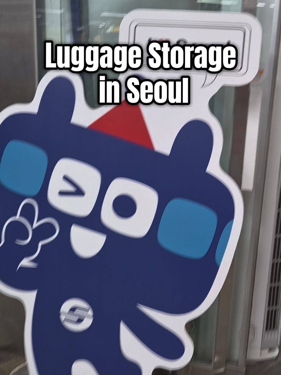 Seoul Luggage Storage Options Near Transit Hubs
