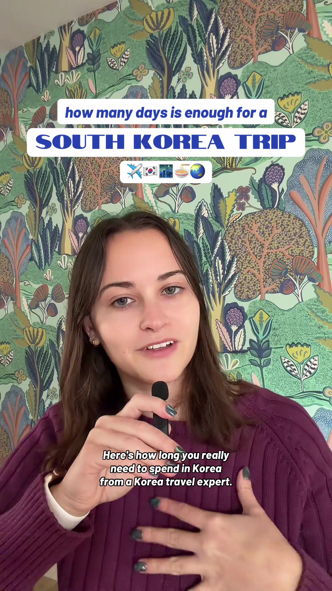South Korea Trip: Nami Island and DMZ