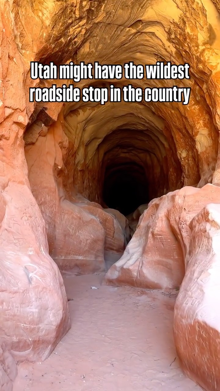 Utah's Wild Roadside Stop and National Park