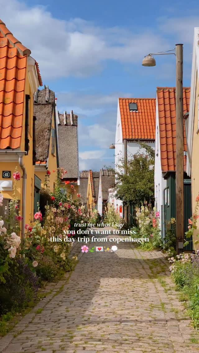 Charming Danish Village and Nature Day Trip