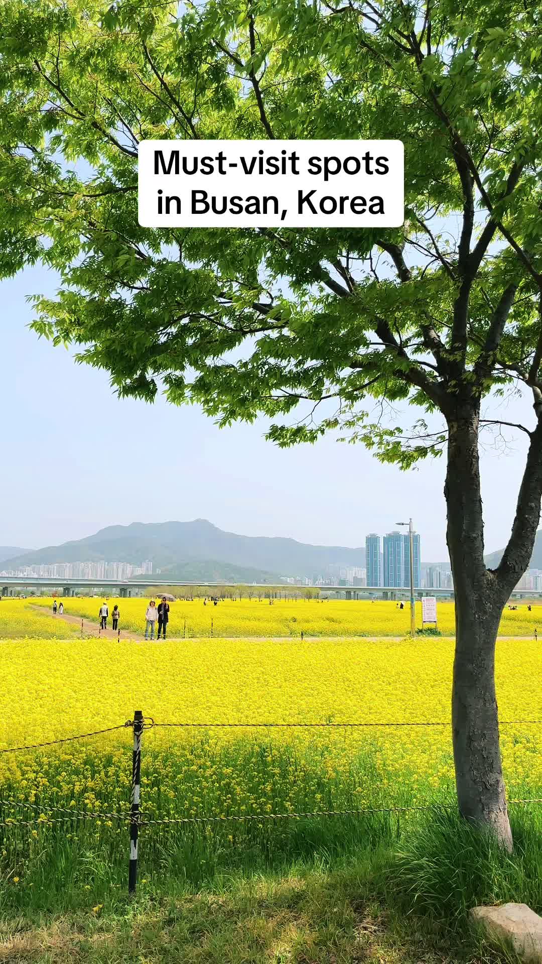 12 Landmarks in Busan