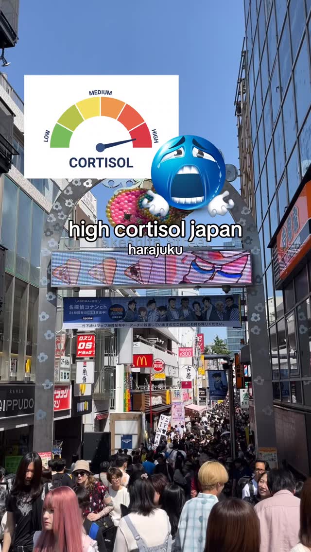 Shibuya's Top Low Cortisol Destinations