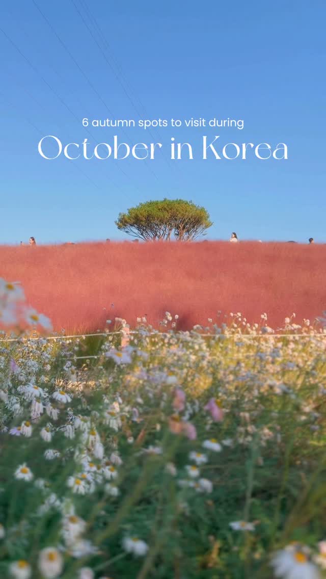 6 Attractions in South Korea