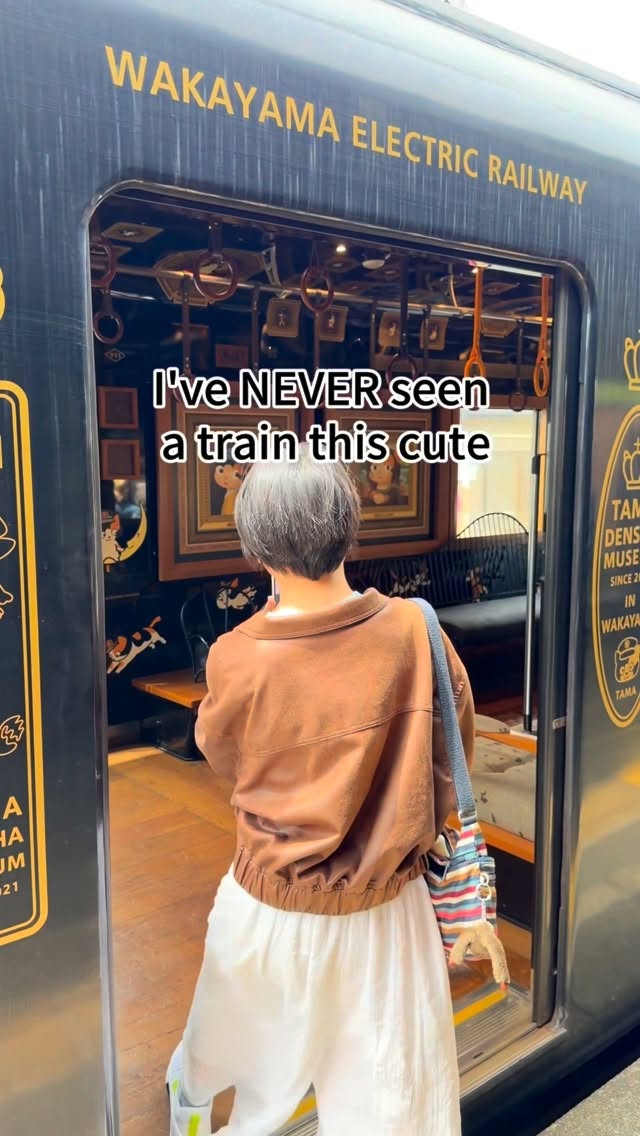 Cat-Themed Train Journeys on Wakayama's Kishigawa Line