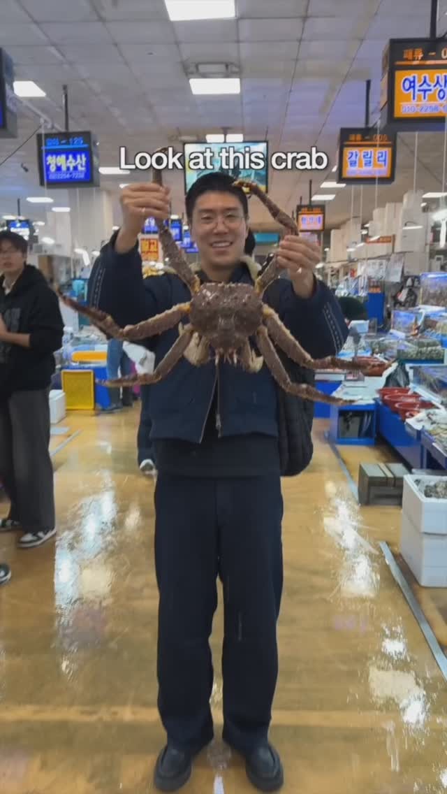 Seoul Seafood Markets And A Rooftop Bar