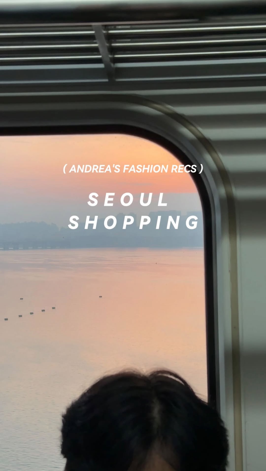 Two Korean Cosmetic Stores
