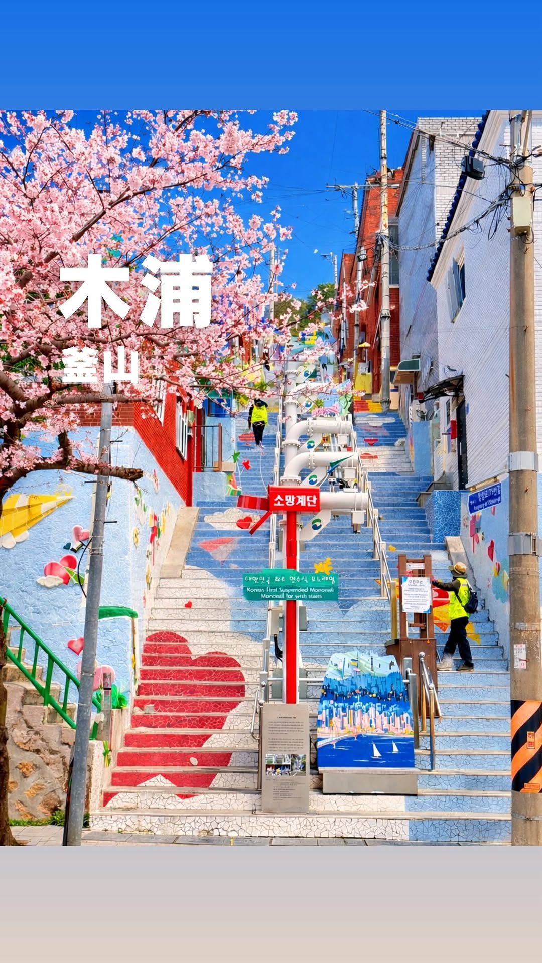 Busan Mural Village Offers Cherry Blossoms