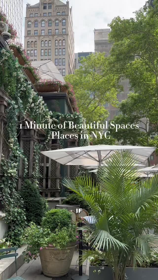13 Restaurants in New York