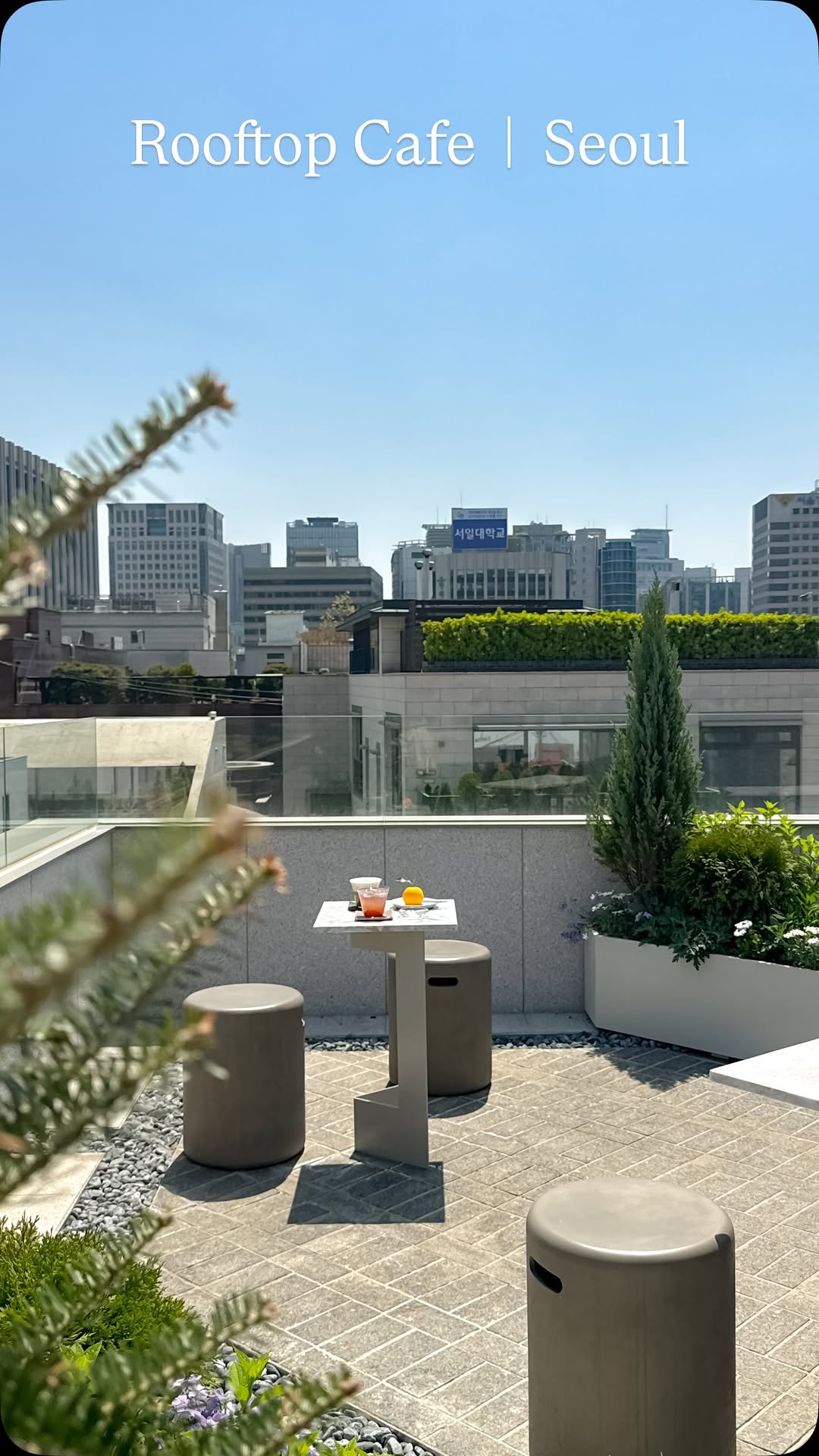 Rooftop Cafe Near Gyeongbokgung Palace Offers Unique Lattes
