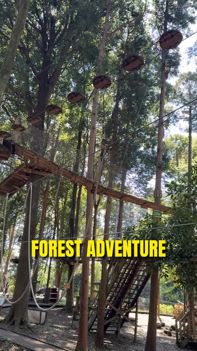 Thrilling Outdoor Adventures Near Tokyo