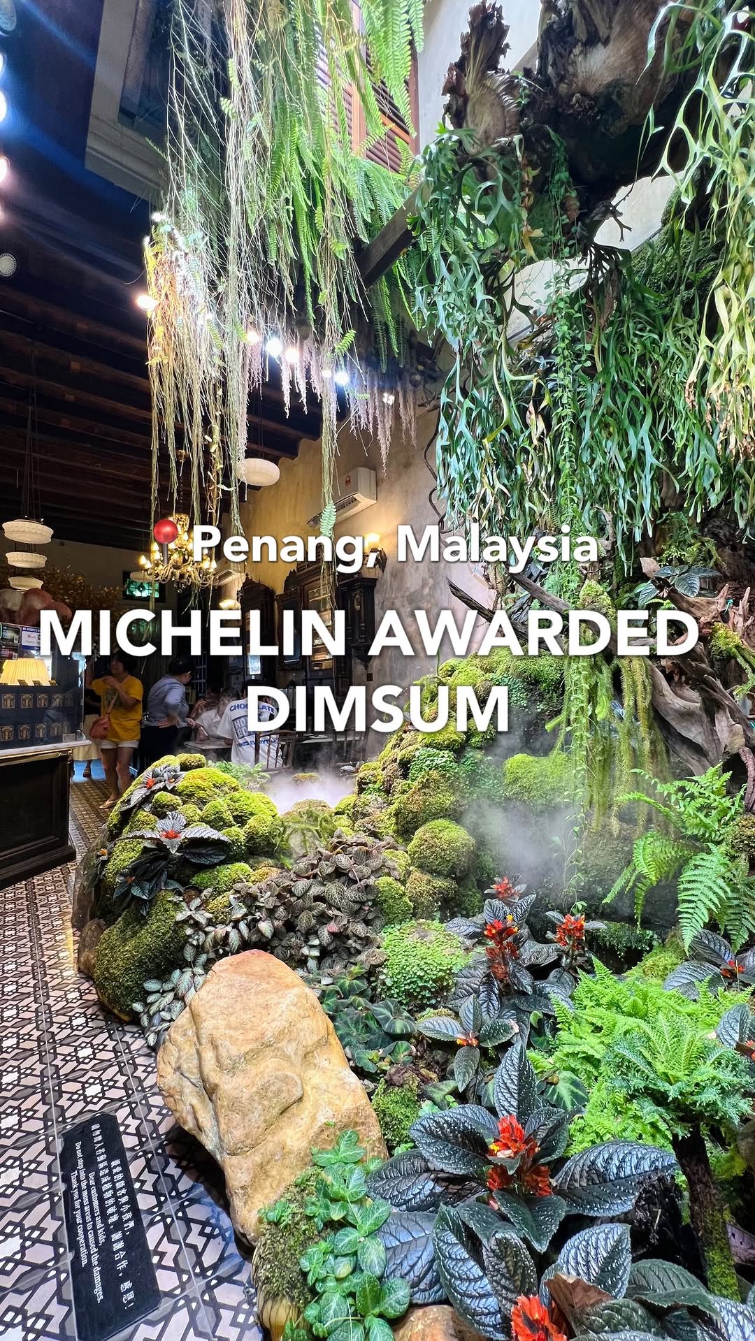 Michelin-Awarded Dim Sum in Historic Penang House