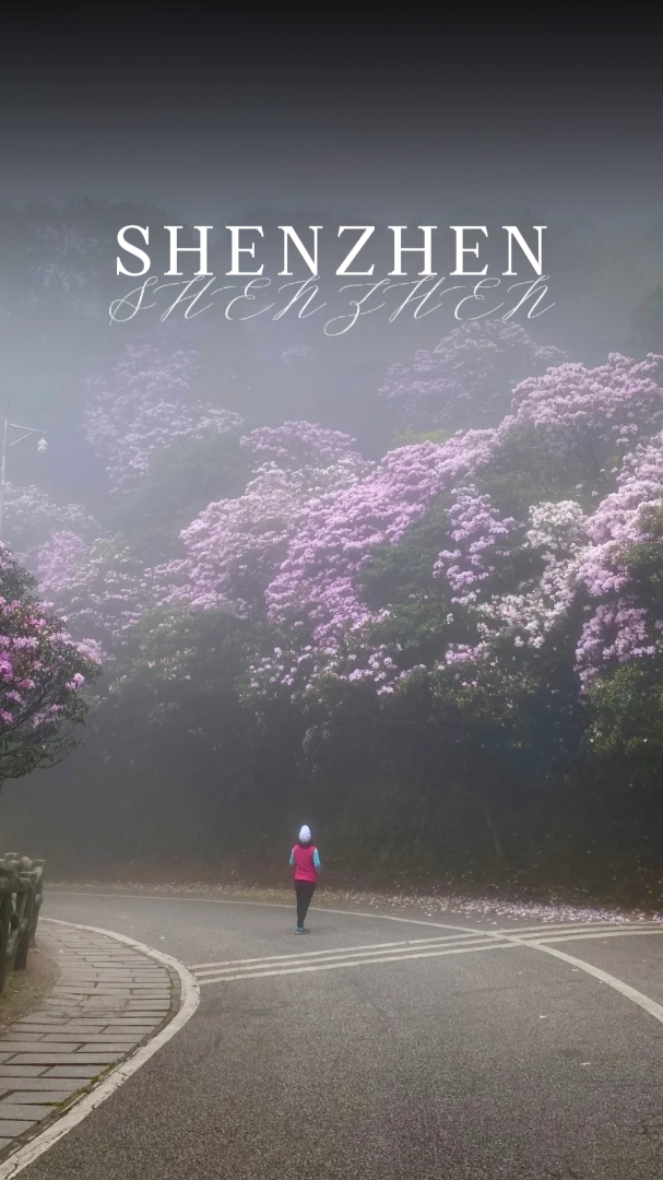 1 Parks in Shenzhen