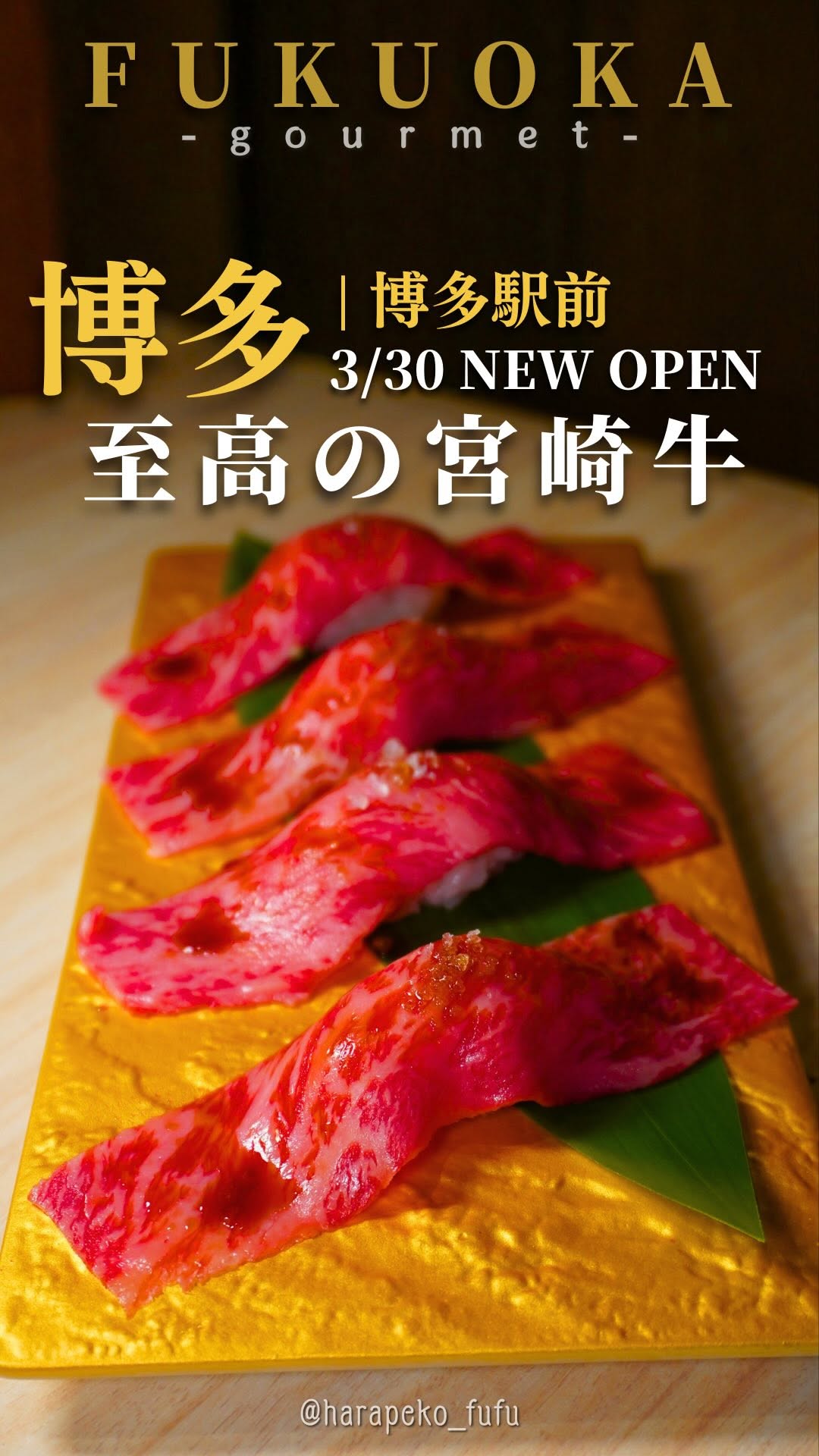 Hidden Yakitori Restaurant Near Hakata Station