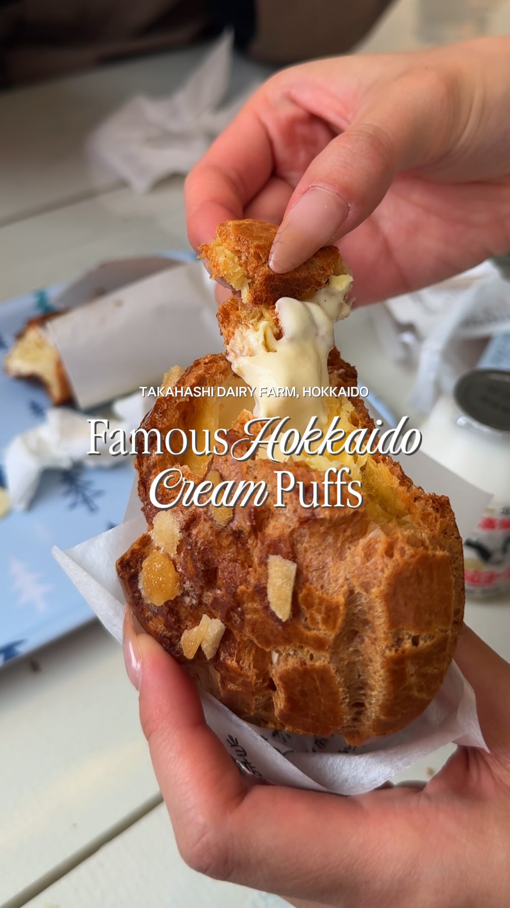 Niseko Dairy Farm's Famous Cream Puffs
