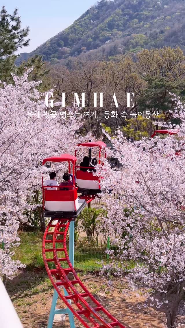 Cherry Blossom Paradise at Gaya Land Angel Park