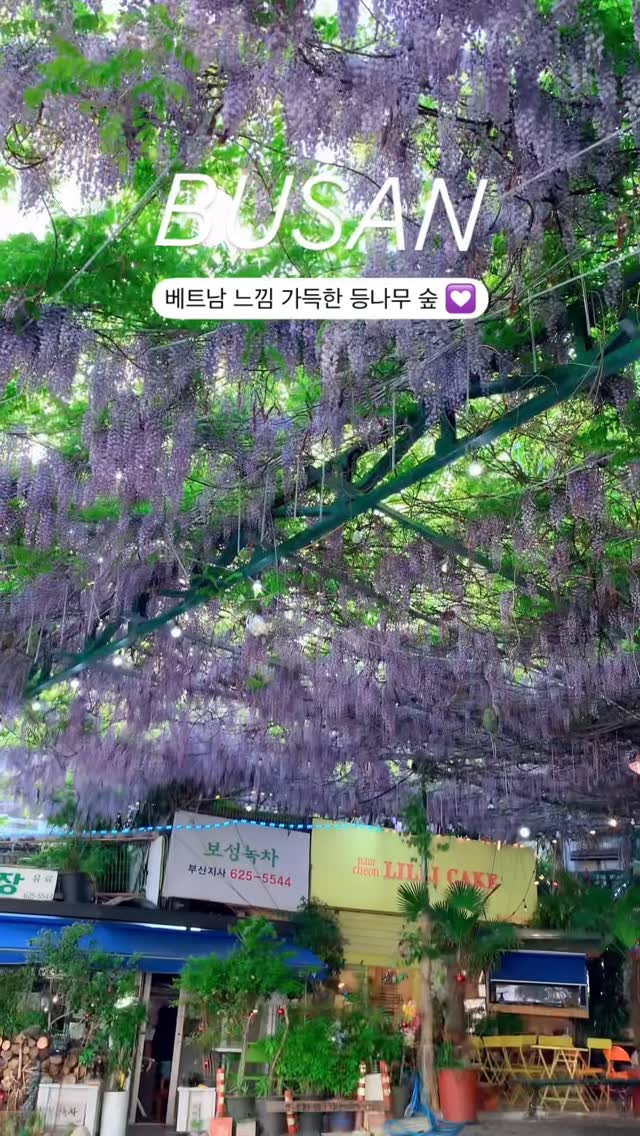 2 Dessert spots in Busan