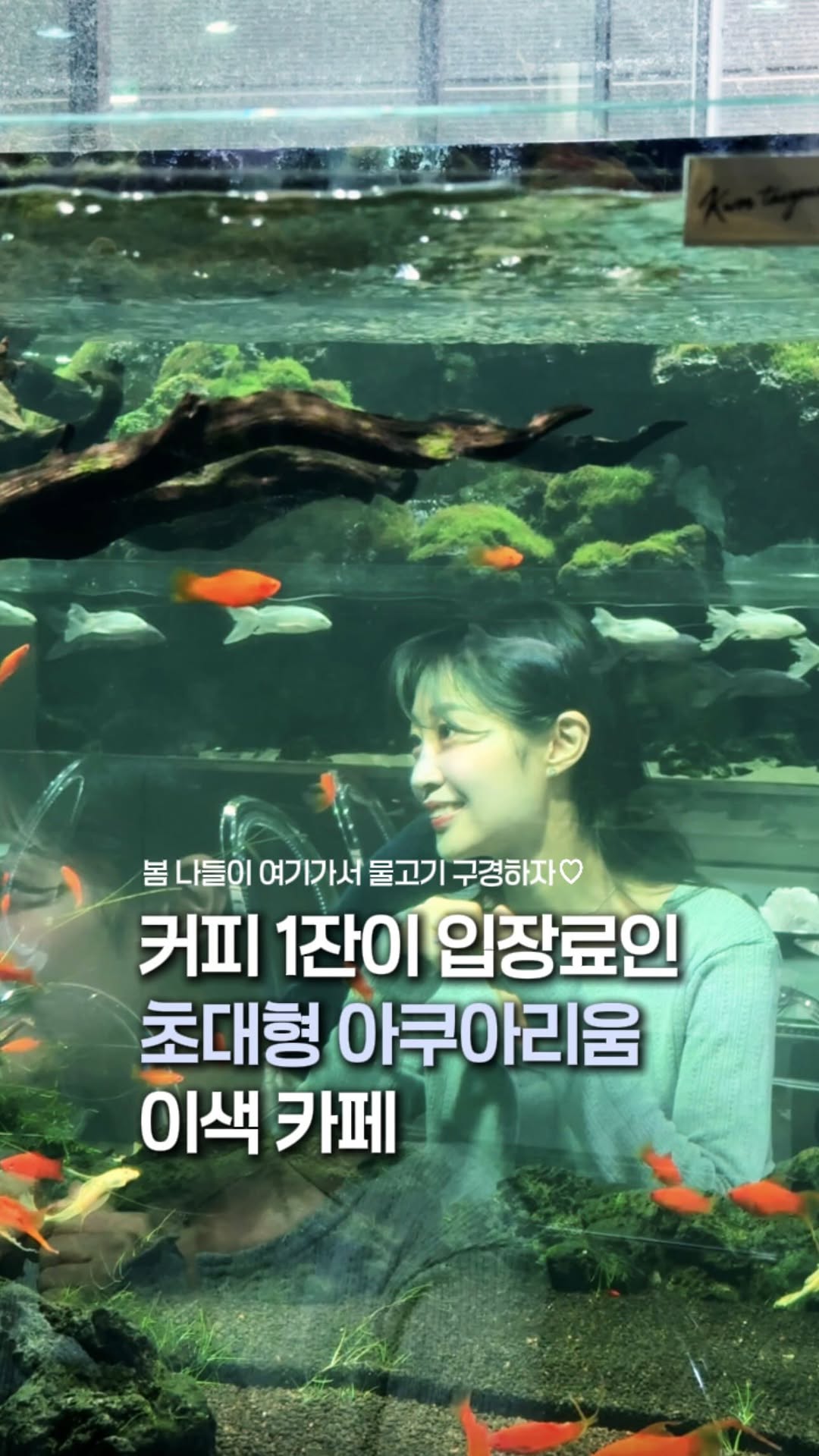 Cafe Offers Free Aquarium Entry With Coffee Purchase