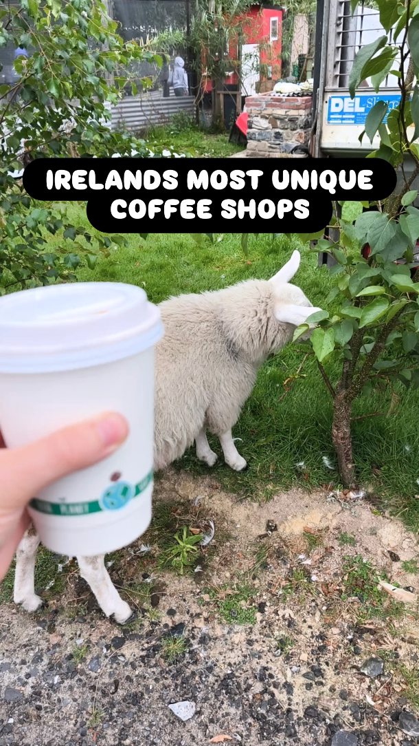 Five Unique Irish Cafes With Fun Attractions