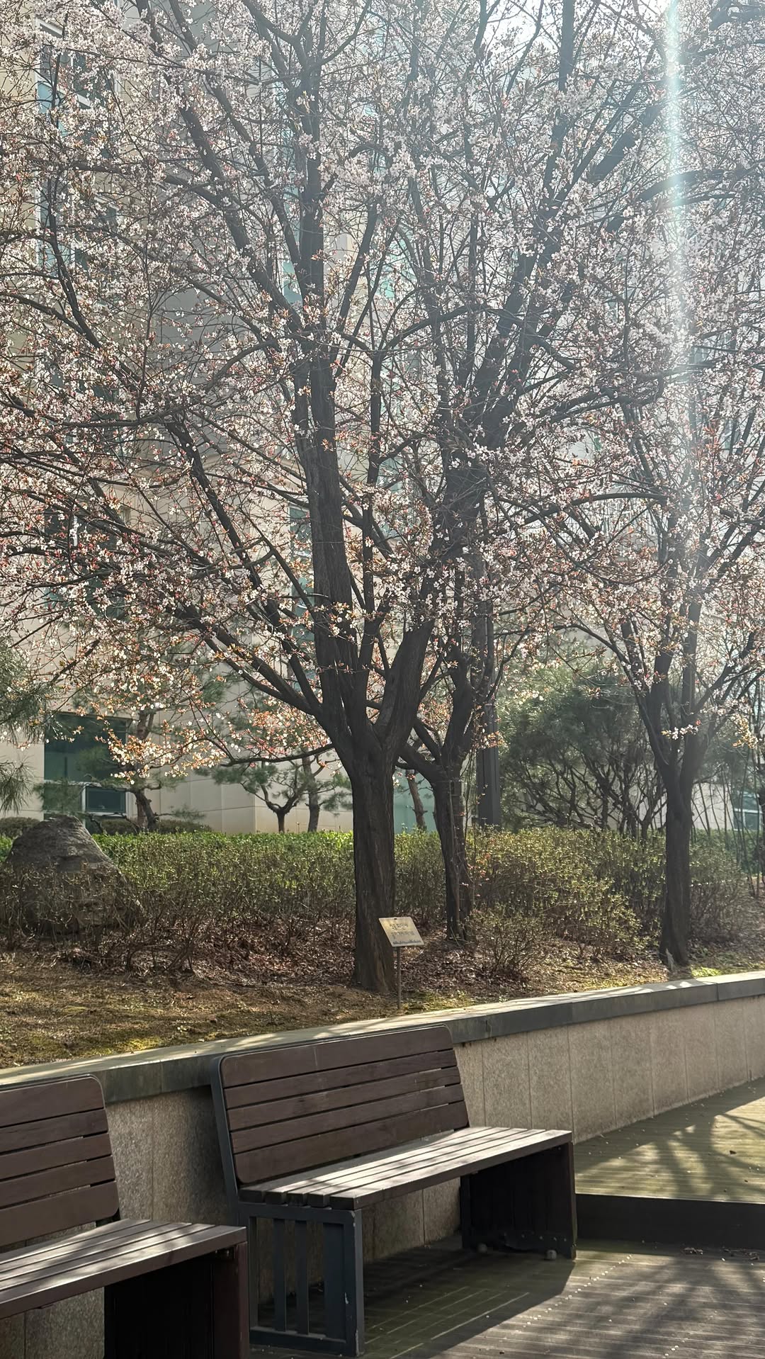 1 Wellness spots in Seoul