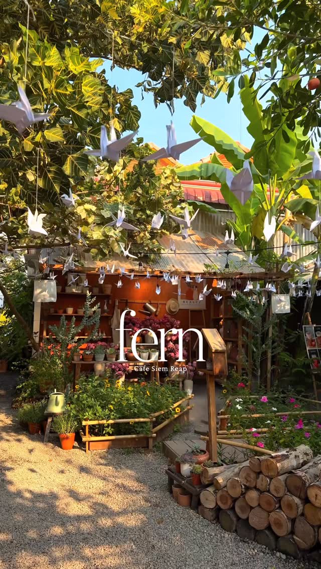 Fern Cafe Siemreap's Vegan Delights