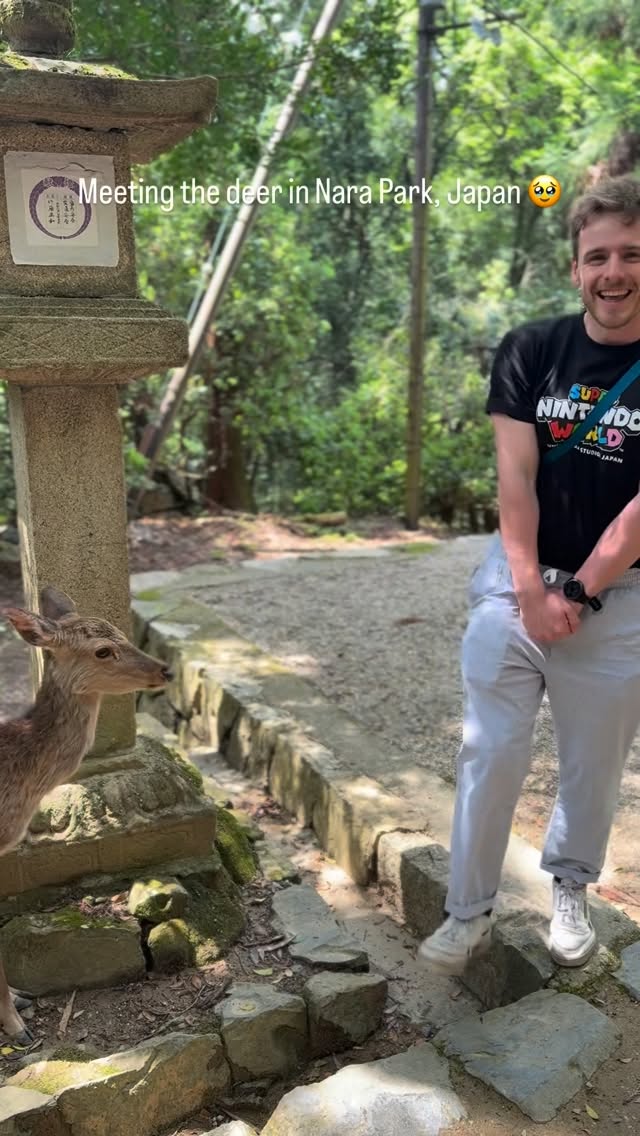 Japan's Nara Park