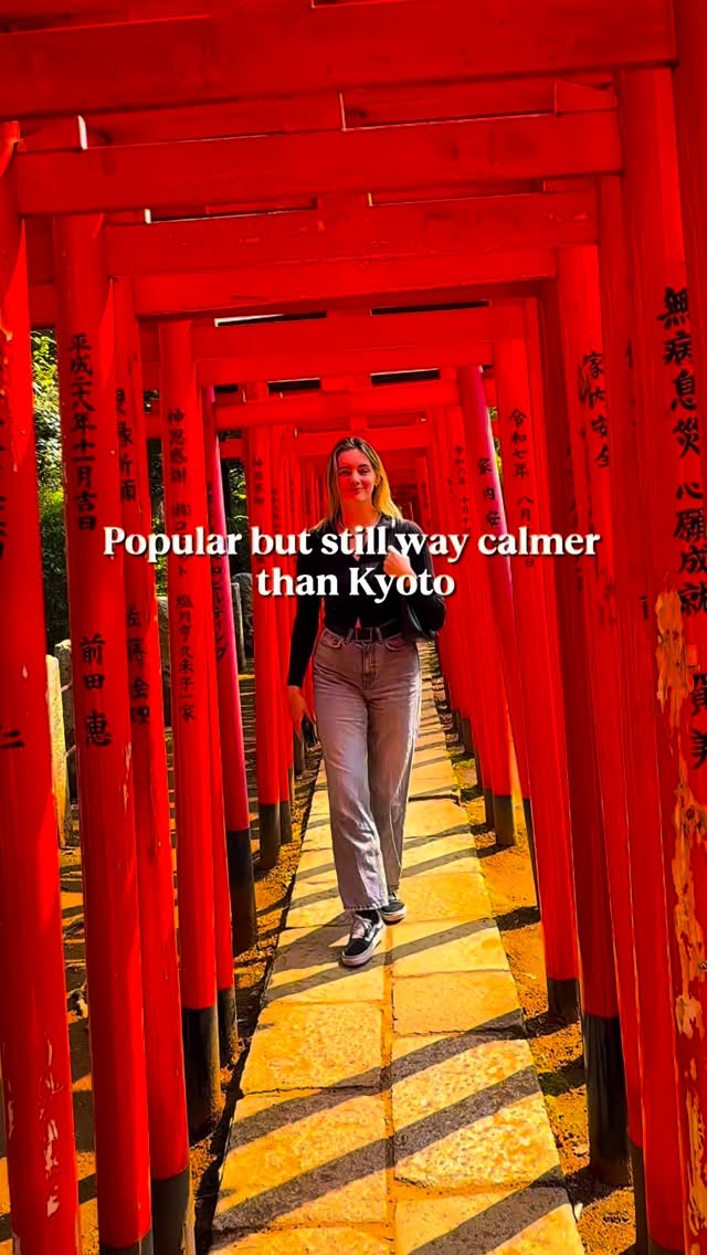 Tokyo's Serene Shrines: Hanazono, Hie, and Nezu